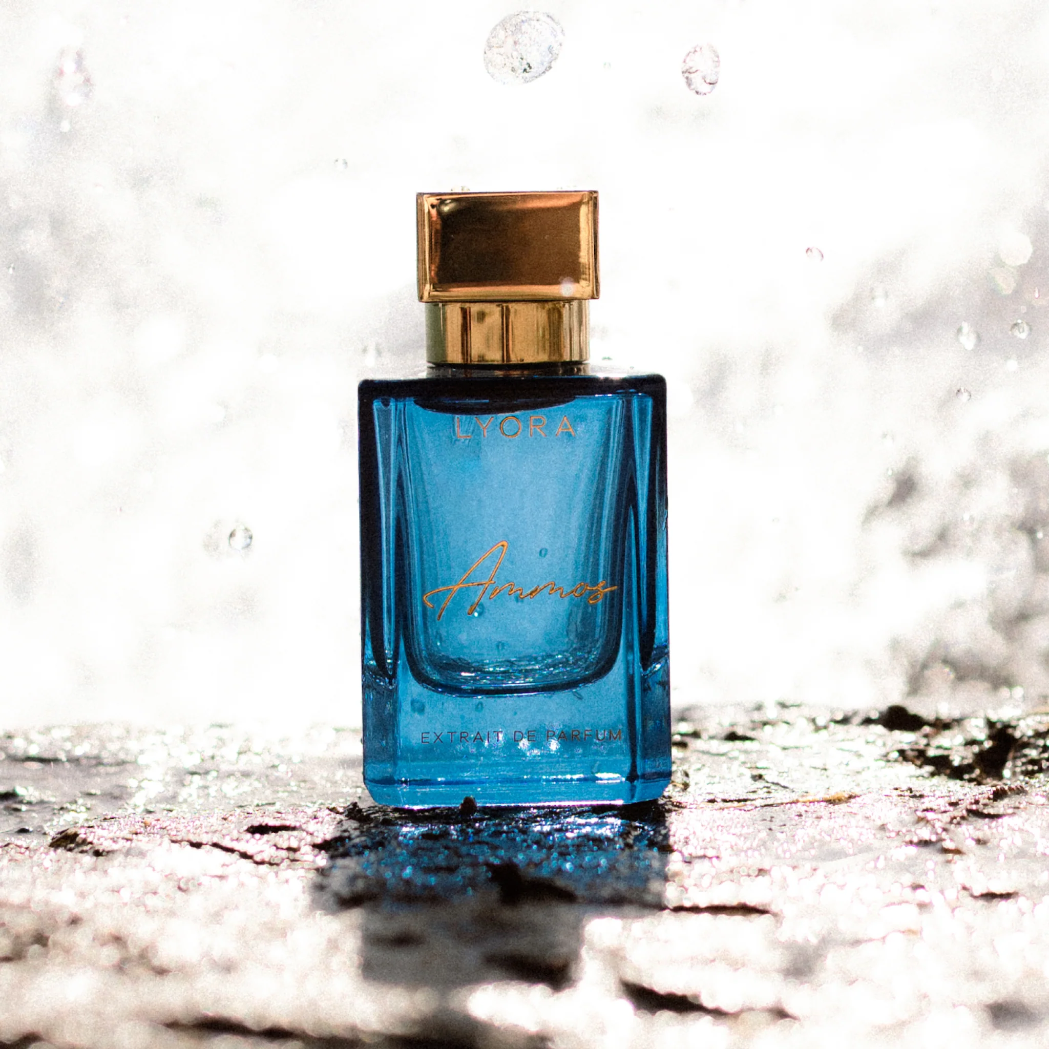 LYORA Ammos - Image 5