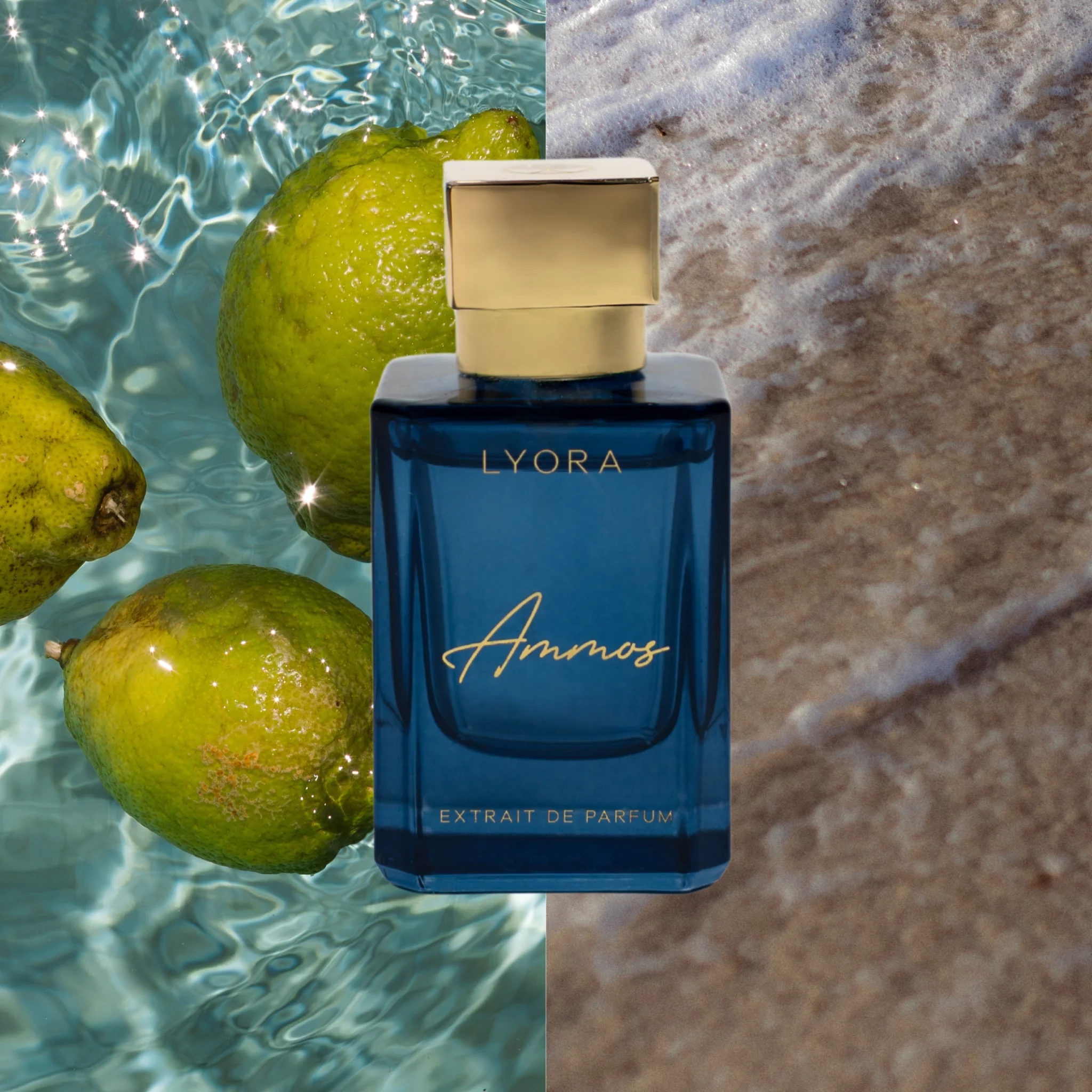 LYORA Ammos - Image 6