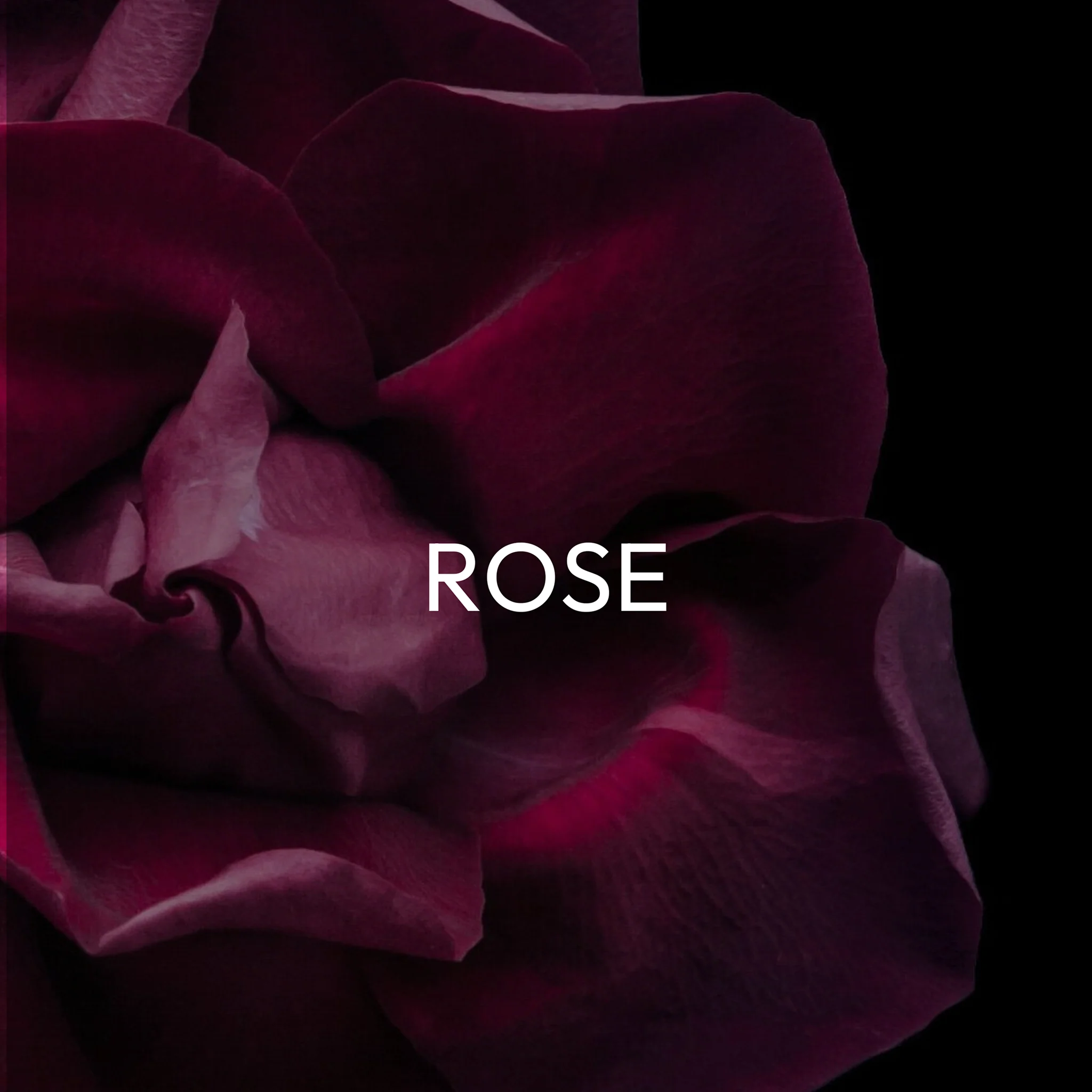 LYORA Ermis - Image 7