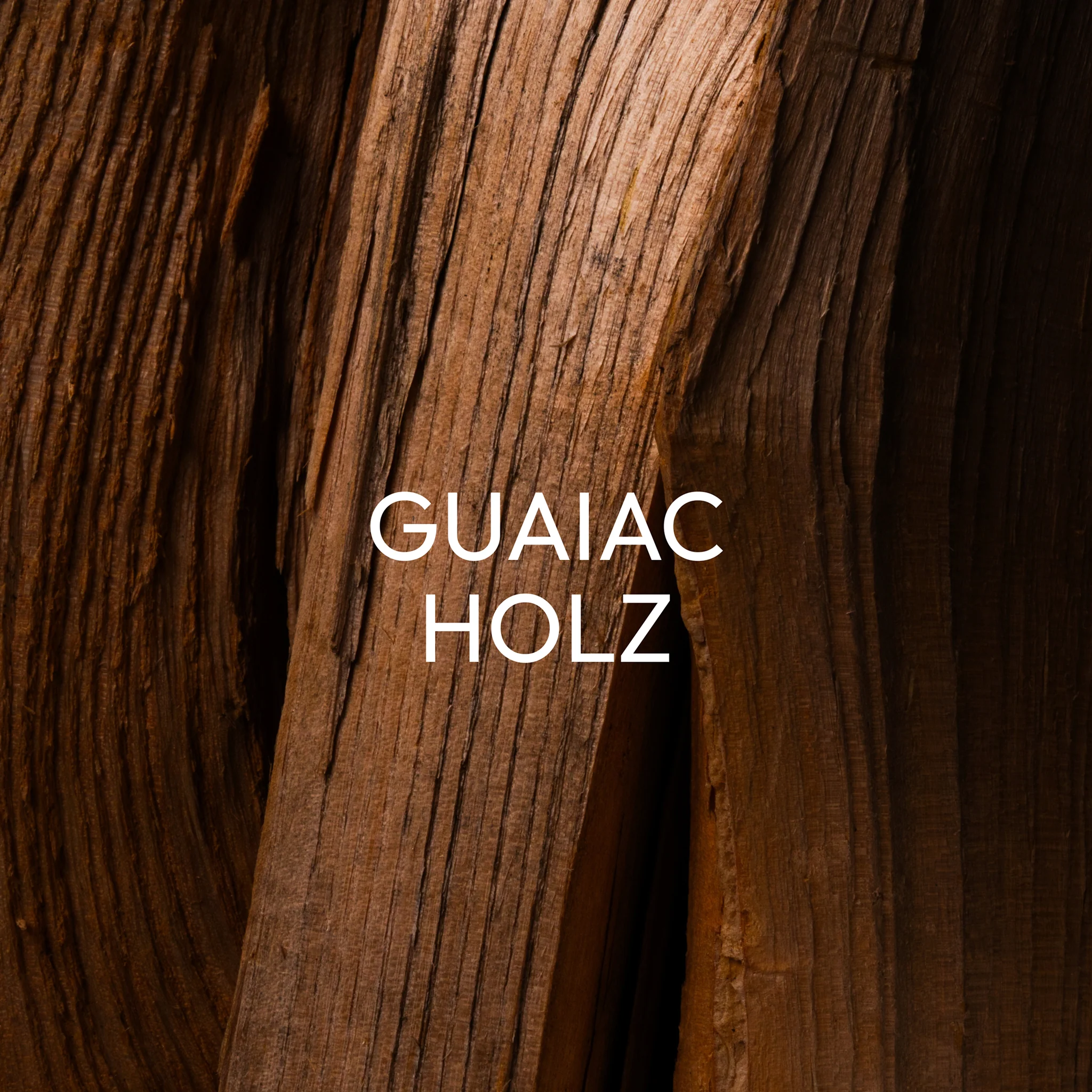 LYORA Ermis - Image 9